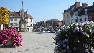 Flowers on square